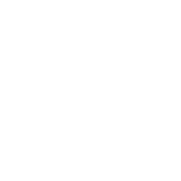 ce logo Findlay